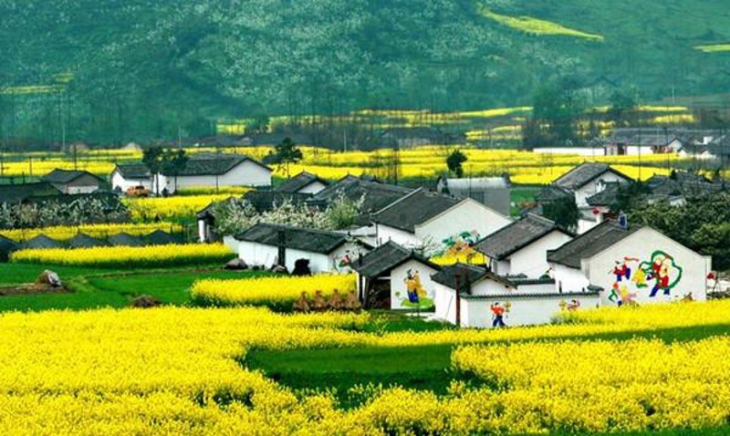在旅游业快速发展的今天,如何打造一个既美观又实用的旅游度假区成为了业界关注的重点。本文将通过具体案例分析不同规划设计方案的优势与劣势,并为投资者提供一些实用建议。